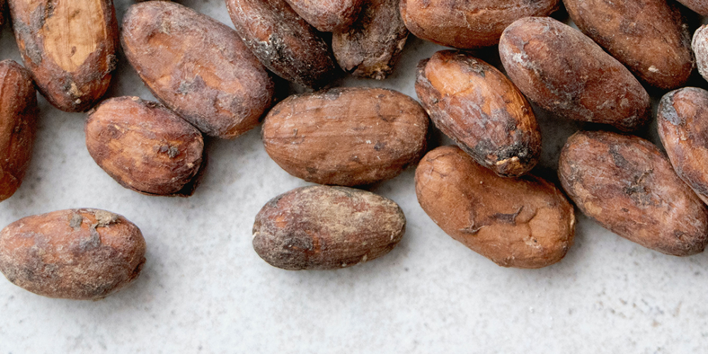 Novo Projeto - 2025-06-05T010539.994